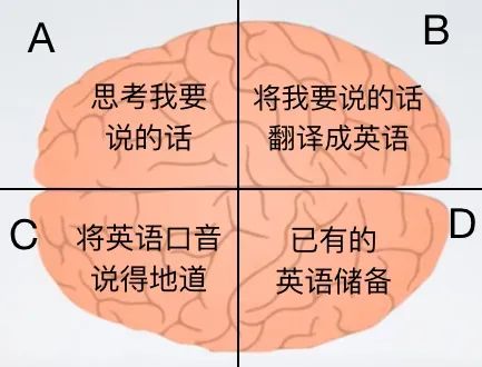 英文句型思维导图_英语的长句思维_思维英语长句怎么说