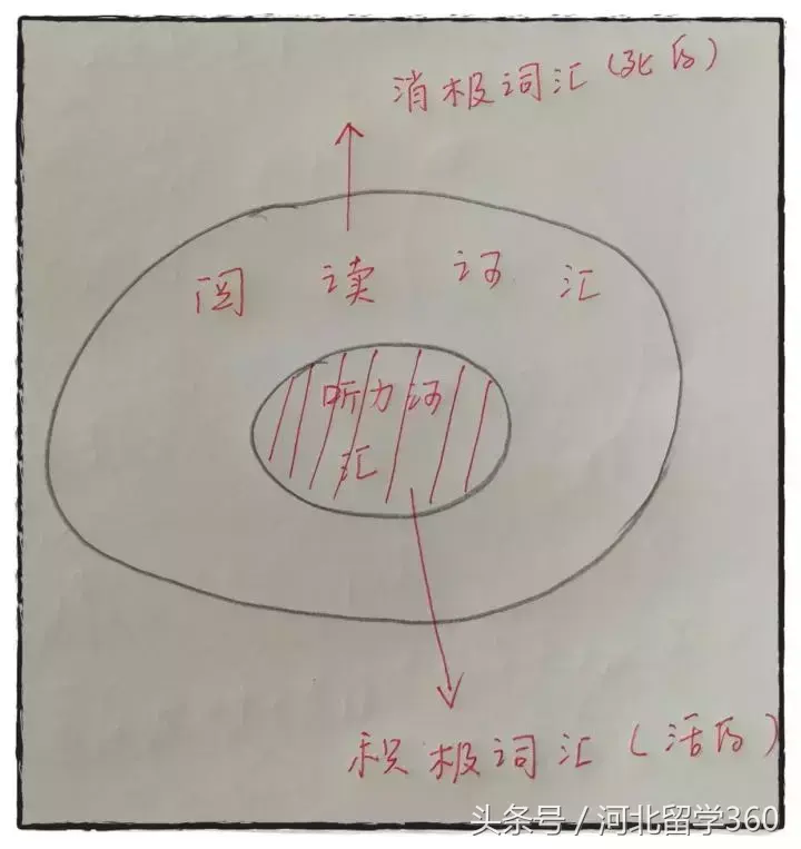 英语专业考公务员职位有哪些_bbc英语专业_英语专业考研可以考哪些方向