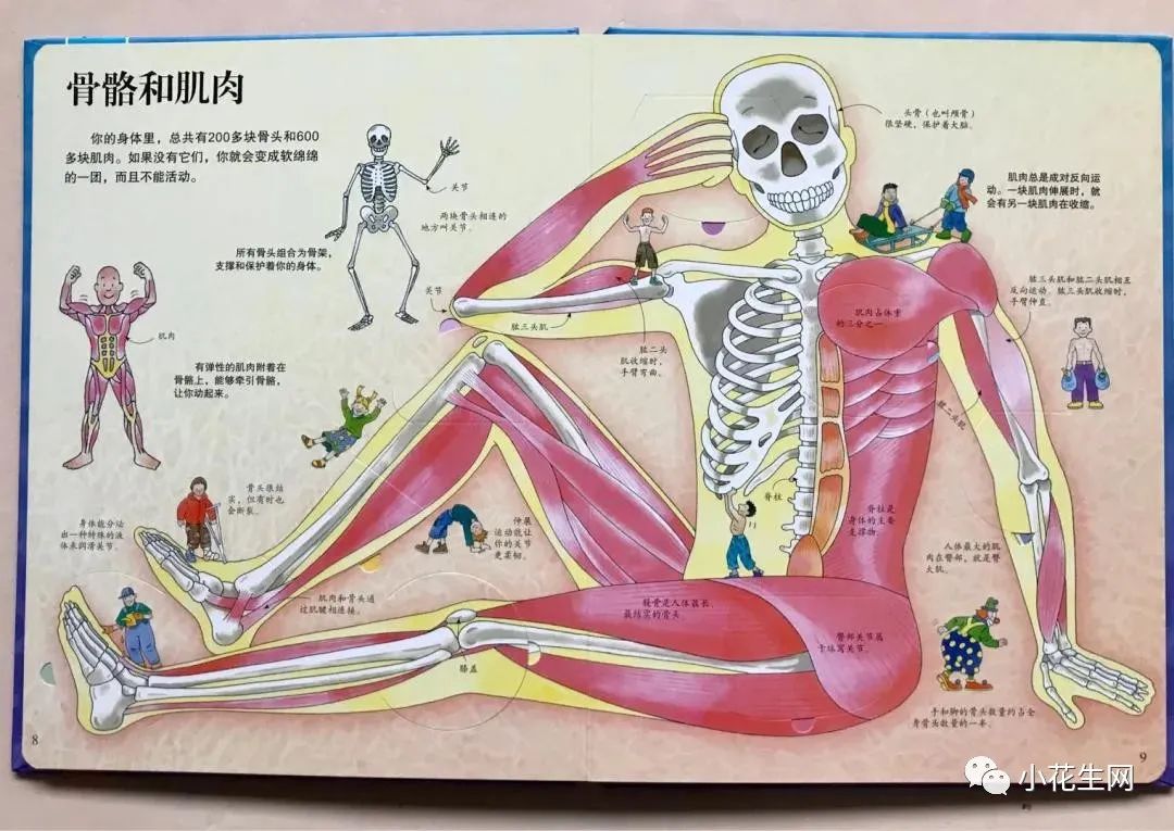 科普英语_科普类英语原文_历史科普英文版