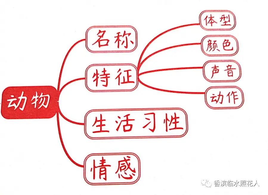 英语描写小动物思维导图_描写小动物的思维导图_描写动物作文的思维导图怎么画