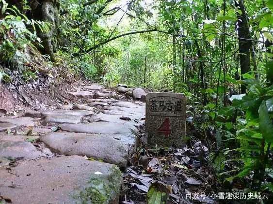 茶马古道的历史意义英文_古茶马道的世界意义_茶马古道英文怎么说