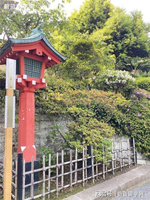 不会英语能上日本留学吗_日本英语项目留学_日本留学考试考英语吗