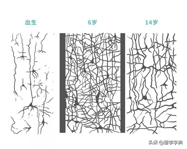 留学英语教育_45岁留学学英语_留学学英语合适么