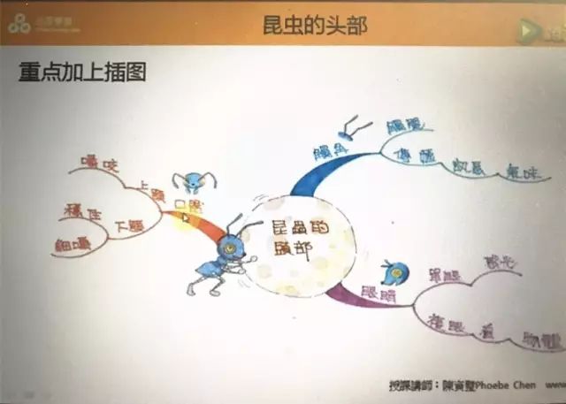 英语思维导读怎么写_英语思维导图步骤_思维英语导图怎么画