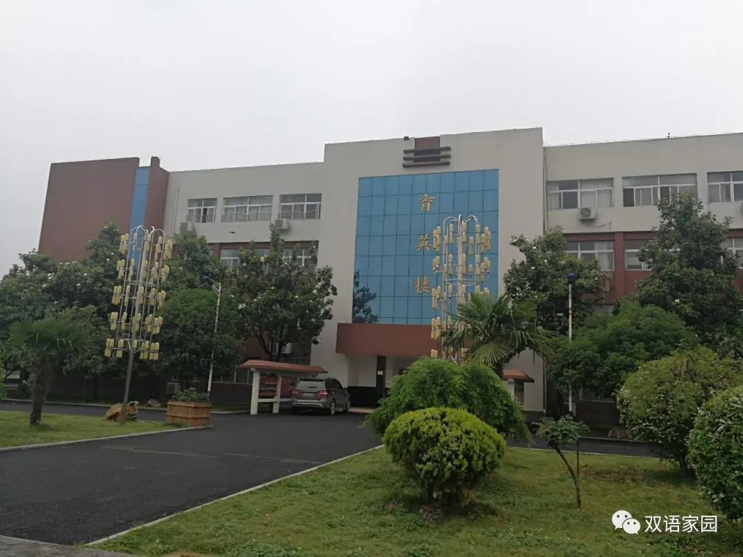 小学英语培训招生标语_小学英语培训班招生宣传语_小学英语培训招生广告