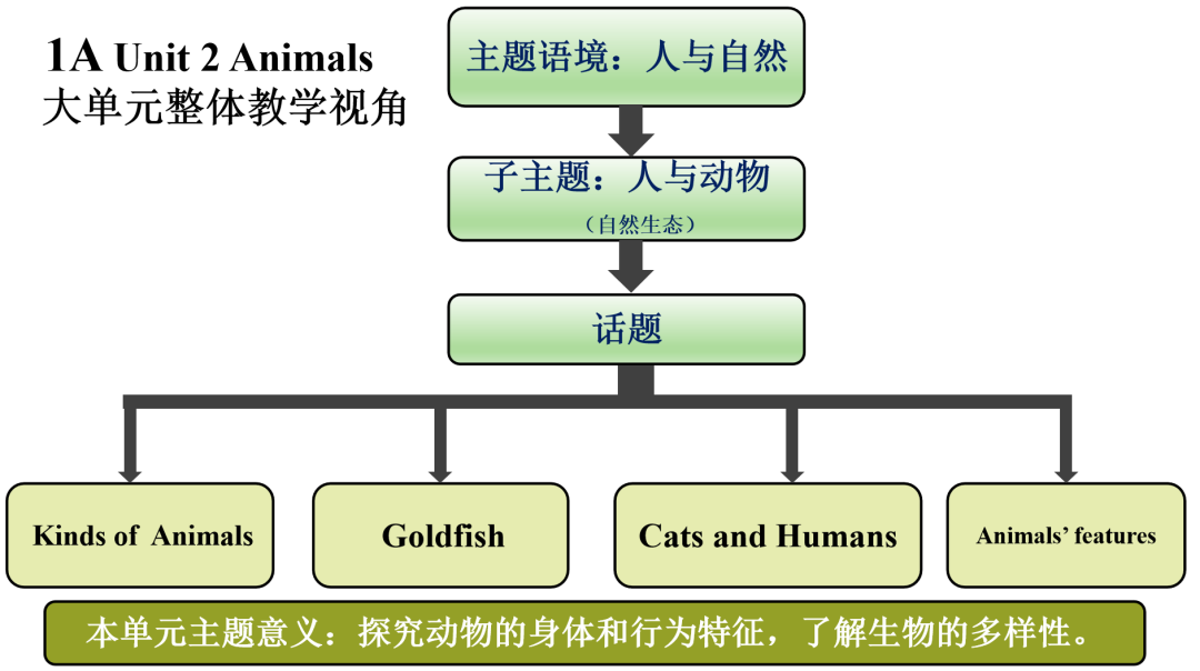 小学英语认知法教学的例子_小学英语发展认知思维_认知思维英语小学发展的特点