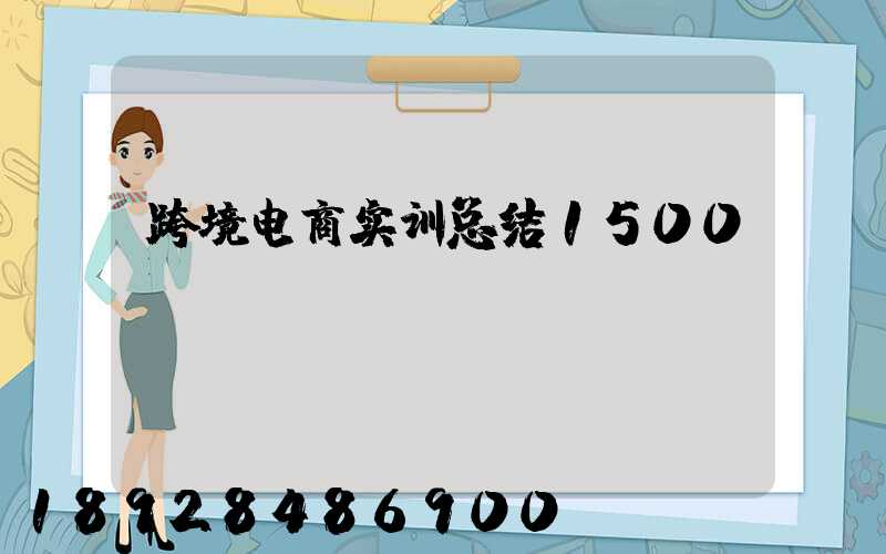 跨境电商实训总结1500