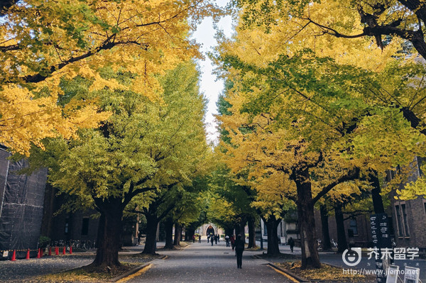 留学英语关西大学条件好吗_关西学院大学留学_关西大学留学英语条件