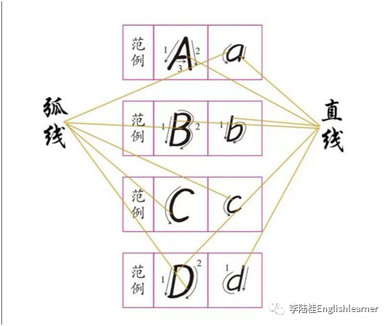 英语在写字中的作用_写字写作用英语怎么说_写字的重要性英语作文