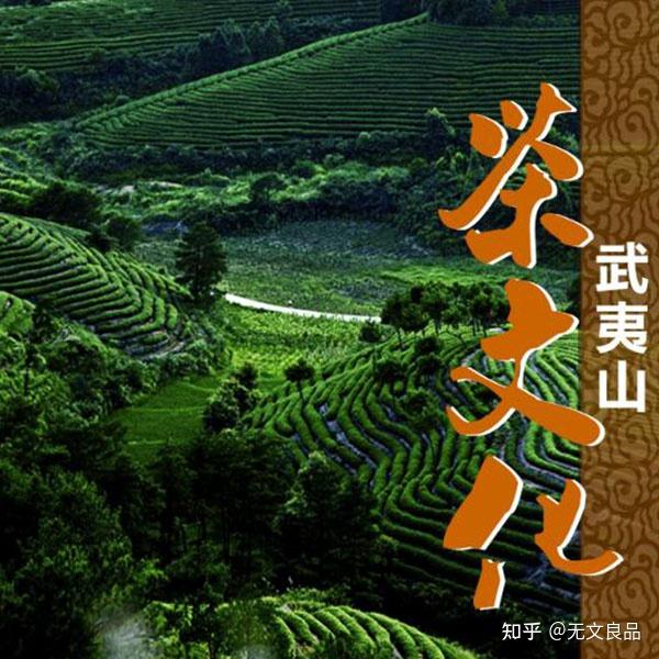 用英文介绍茶文化的历史_茶历史的英文_茶的历史文化英文