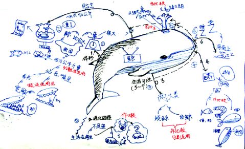 体验思维导图导写作的快乐三