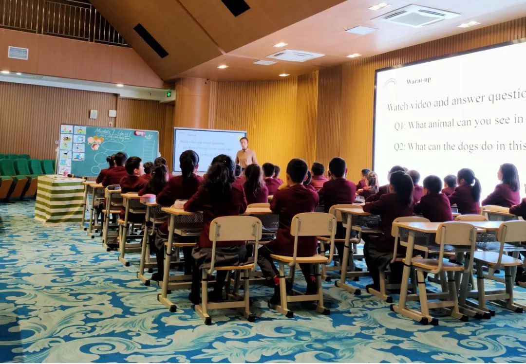 蒙彼利埃小学如何_蒙彼利埃小学英语_蒙彼利埃小学课程表