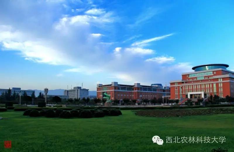 历史学系英文翻译_历史学院英语怎么说_办学历史的英文