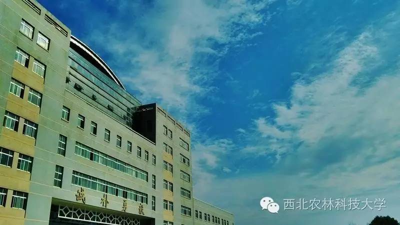 历史学院英语怎么说_历史学系英文翻译_办学历史的英文